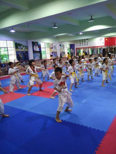 南宁跆拳道暑假培训中心-海商网,教育和培训产