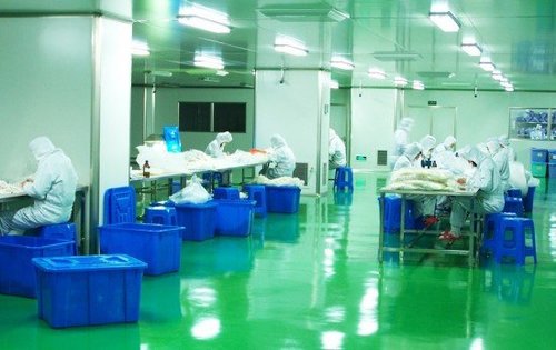 保健品净化车间GMP认证程序