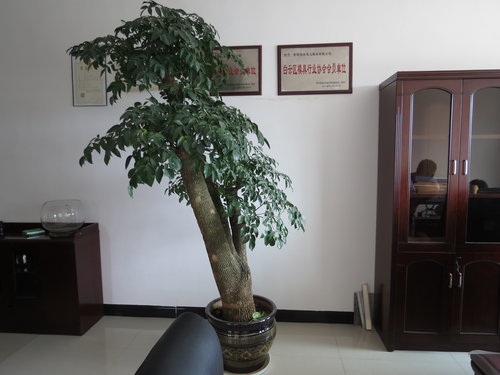 贵阳模具公司（办公环境）