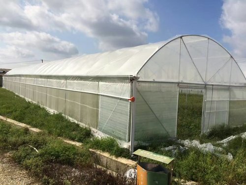 天气炎热难耐,如何消除高温下蔬菜大棚建设内雾气