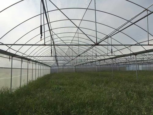 如何解决温室大棚湿度大的问题?