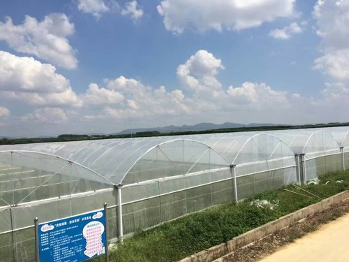 温室大棚建设的核心要求