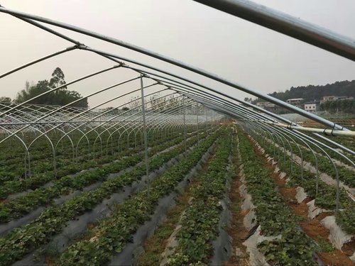温室大棚灌溉维护的方法