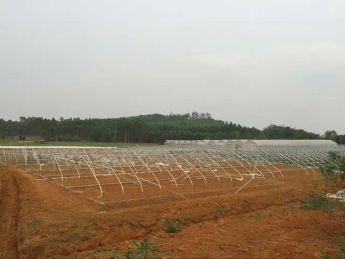 广西蔬菜大棚建设过程中常见问题