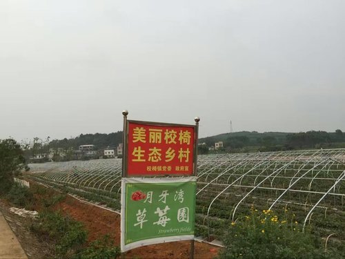 广西育苗大棚 商家对合理控温的介绍