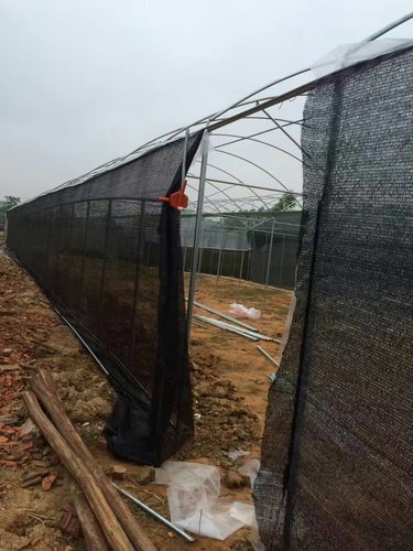 温室工程厂家分享温室大棚内毒气体的危害及预防