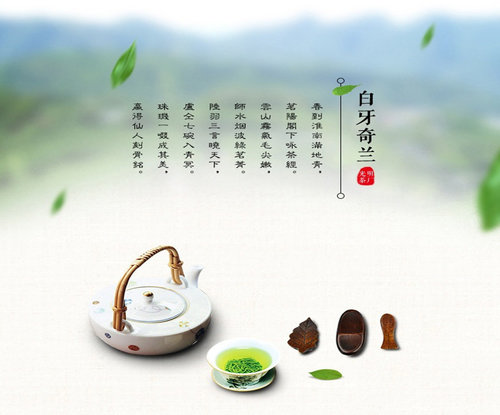 茶叶冲泡法,爱茶人必知!