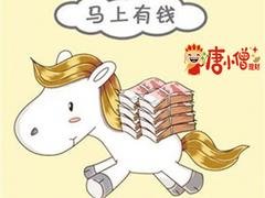 上海哪裏可以找到信譽好的唐小僧理財 投資理財公司