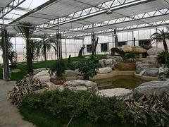 耐用的生态观光温室推荐|生态观光温室建设