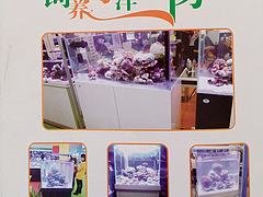 加盟海洋生物魚缸_【薦】許昌精品海洋生物魚缸