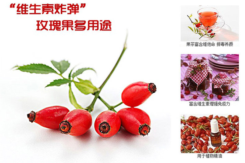 湖北省十堰市广林大型玫瑰果种植基地寻求加盟合作开拓玫瑰产业开发玫瑰果市场价值潜力VC之*强生圣果