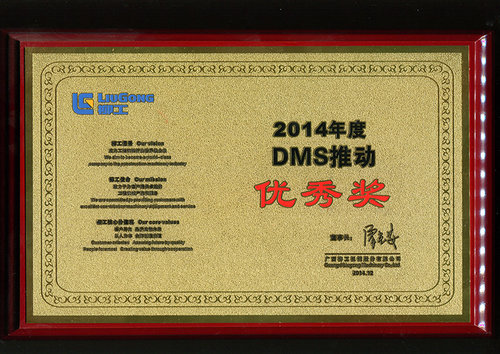 2014年DMS推动优秀奖