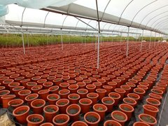 http://images.hisupplier.com/var/userImages/201611/19/111122943623_240.jpg