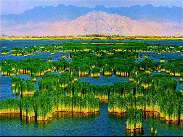 去宁夏沙湖 旅游 要带什么必备物品 哪好玩