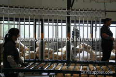 贵阳锌钢护栏生产批发厂家