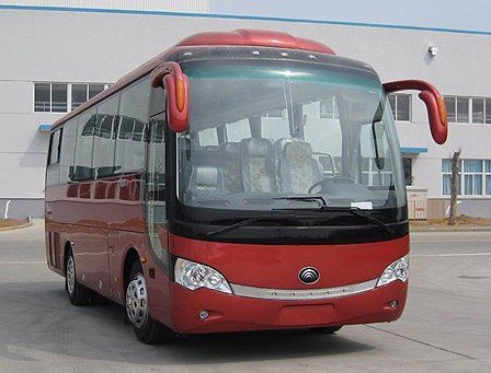 旅游大巴寒期前被“抢”光