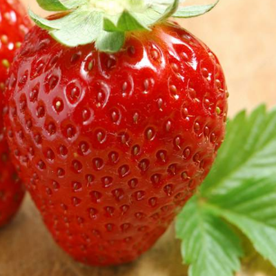 重庆草莓采摘园-海商网,水果瓜类产品库