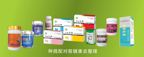 赛鸽对症下药很关键