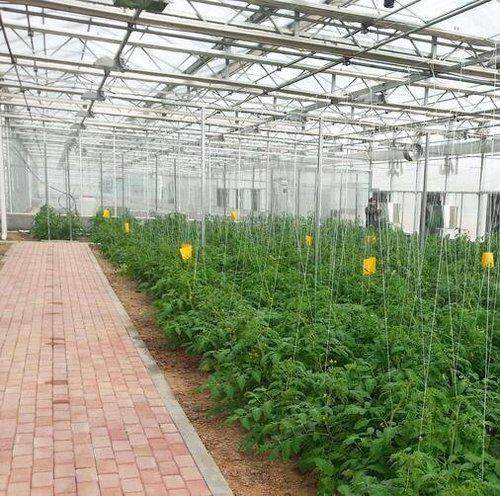 智能温室大棚在种植业上的优势