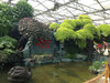 上海温室大棚