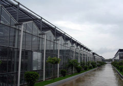 北京阳光板温室工程