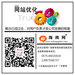 嵊州网络推广公司