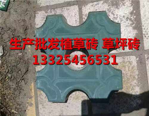 西安植草磚批發廠家13325456531