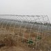 6分鍍鋅大棚鋼管定做_山東鍍鋅大棚鋼管定做_橢圓鍍鋅大棚鋼管現貨