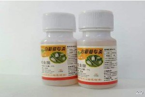 蓟县大田粉虱的克星百粉虱专杀_哪里能买到优质的百粉虱专杀