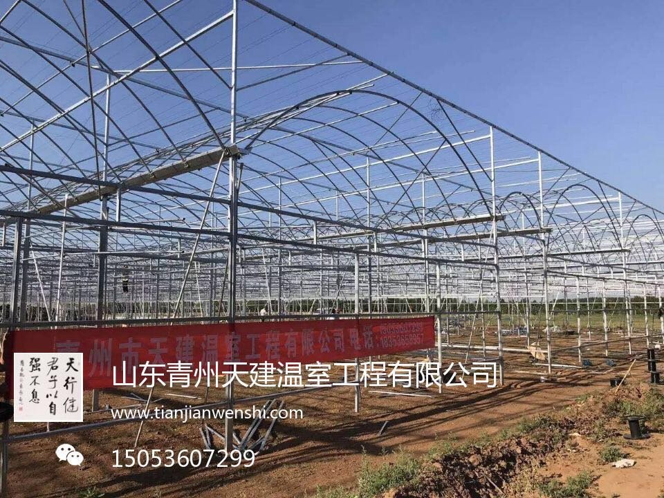 新疆新型溫室【土建暖棚】【大棚配件】【蔬菜大棚】