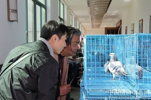 接种疫苗时应注意什么