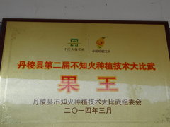 杨加先