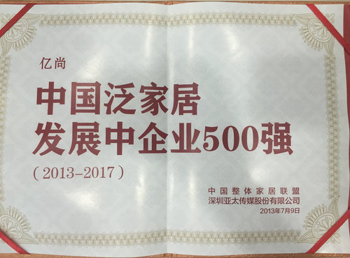 家居发展企业500强