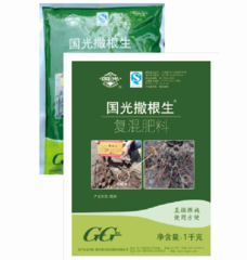 貴陽大樹移栽養護品批發電話