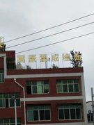 http://images.hisupplier.com/var/userImages/201709/08/141350288775_240.jpg