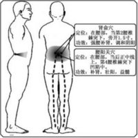 郑州专业的艾灸培训加盟公司【首要选择】——权威的艾灸培训加盟