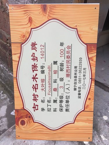 贵阳UV喷墨打印销售厂家