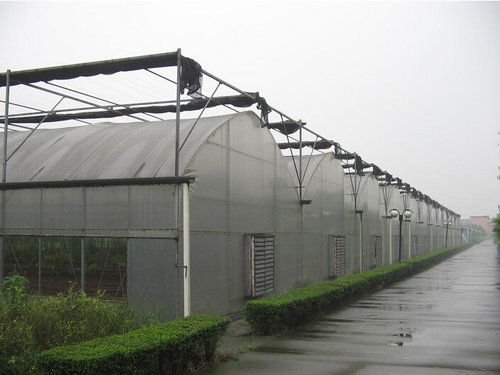 贵阳连栋大棚建造特点