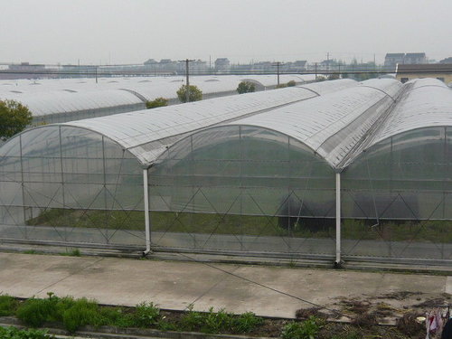 连栋温室大棚降湿的方法