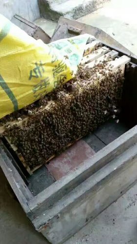 蜂蜜保存方法