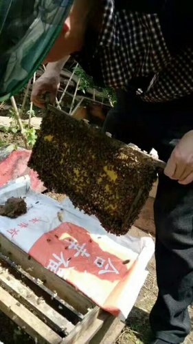 蜂蜜保存小妙招