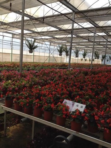 贵阳温室大棚销售报价-海商网,建筑钢材和结构