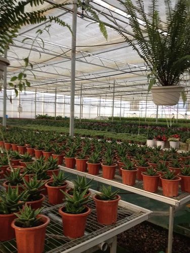 贵阳温室大棚销售价格-海商网,建筑钢材和结构