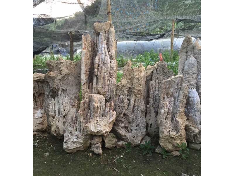 兰州山盆景、供应甘肃造型优美的山园林工程