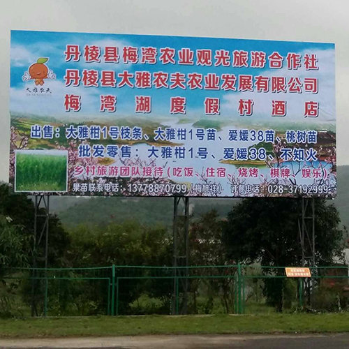 柑橘施肥技巧——新闻报道
