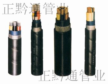 贵阳电线电缆上哪买比较好|口碑好的电线电缆
