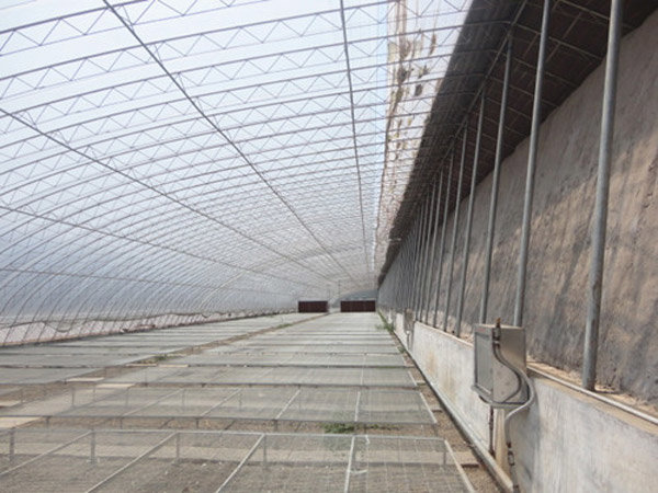 苦瓜育苗温室建造——建蔬菜温室大棚要多少钱