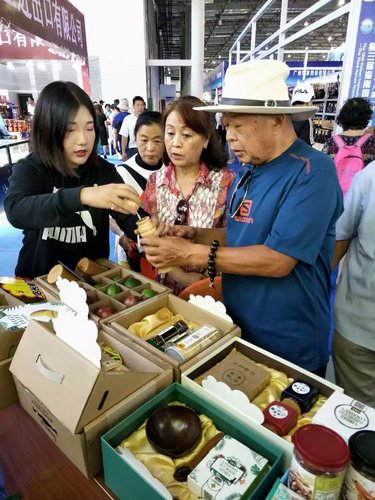 海南会展行业快讯:精英论道共谋海南会展发展宏图