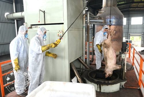 多项研究证实:除了忌食用野物,疫情防控要点还有这些