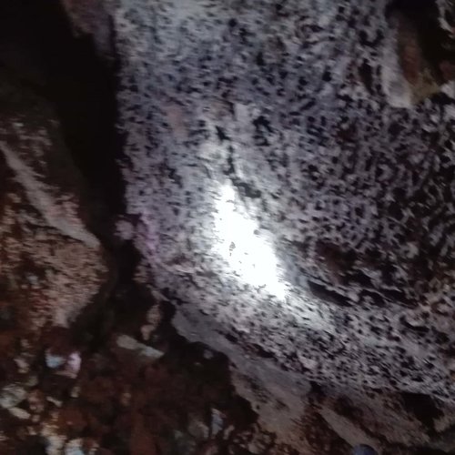 福州除白蚁厂家讲述新建房屋白蚁预防